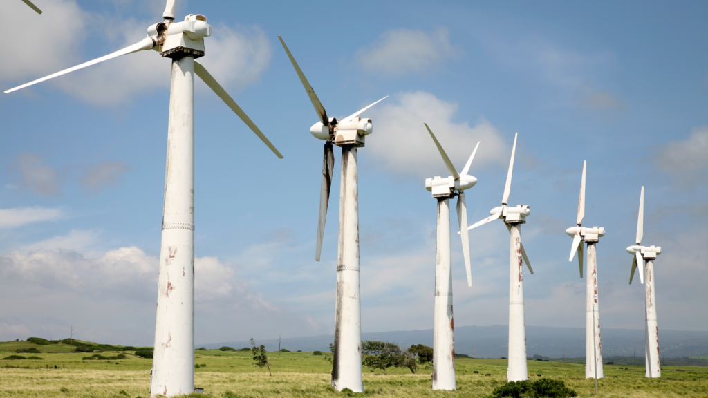 A lineup of rusty wind turbines